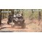 Teide By Buggy 2, 4 and 6 Seater Options